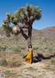 A woman standing in front of a joshua tree in the desert.